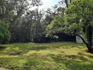 a yard with a field of grass and trees at Quintessential, secluded South Devon cottage in Plymouth +2 photos