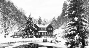 a house in the snow with a pond and trees at Waldhaus Wolfsbachmühle in Hohegeiß