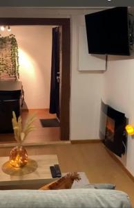 TV a/nebo společenská místnost v ubytování Agréable maisonnette de ville avec jacuzzi