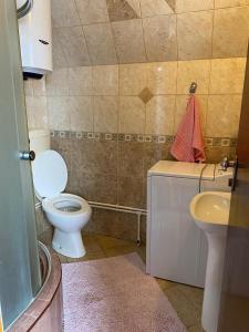 a bathroom with a white toilet and a sink at Holiday Home Vojinovic in Žabljak