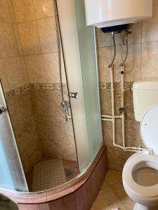 a bathroom with a shower with a toilet at Holiday Home Vojinovic in Žabljak