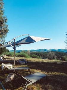 un tavolo da picnic e un ombrello in un campo di Refúgio do Sobreiro a Cabeceiras de Basto