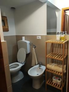 a bathroom with a toilet and a sink at Cantina Alpina in Salabertano