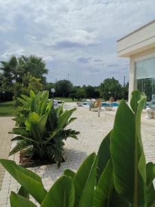 Κήπος έξω από το SantoStefano Holidays