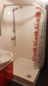 a bathroom with a shower and a sink at Apartament Stronie Śląskie in Stronie Śląskie