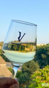 a person holding a glass of white wine at Casa Familia Vladoi in Murfatlar