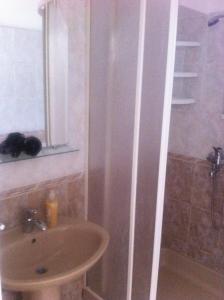 y baño con ducha y lavamanos. en Apartment Žarko, en Brna