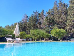 Bazén v ubytování B&B Villa I 2 Leoni nebo v jeho okolí