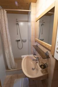 ein Bad mit einem Waschbecken und einer Dusche in der Unterkunft Ferienwohnung Petra Natter in Bezau