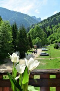 
a park filled with lots of flowers on a sunny day at Hotel Diery in Terchová
