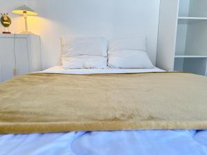 um quarto com uma cama com uma almofada e um candeeiro em Centre ville, T2 avec terrasse et parking couvert. em Cauterets