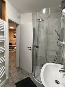 a bathroom with a shower and a sink at wohnbar-Apartment in Worbis