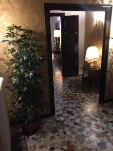 a hallway with a potted plant and a mirror at palazzo suite ducale in Venice