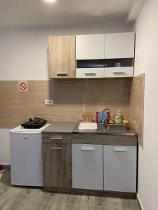 a kitchen with a sink and a counter top at Vila Nika in Crni Vrh