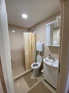 a bathroom with a toilet and a sink and a shower at Vila Nika in Crni Vrh