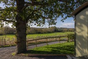 Garður fyrir utan Abbey Farm Glamping & Cottage