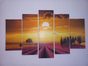Foto dalla galleria di Studio Lola Jezero a Divčibare