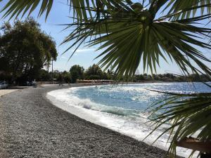 una playa con una palmera junto al agua en Skaloma Beach Estate en Skaloma