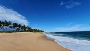 una playa con palmeras y el océano en Tropical Garden, en Tangalle