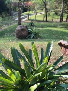Zahrada ubytování Pousada Camping e Restaurante Vila dos Arcanjos