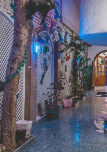 Fotografie z fotogalerie ubytování Gina Motel Dahab v destinaci Dahab