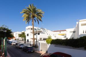 een palmboom voor een straat met geparkeerde auto's bij Home2Book Casa Boissier, Breakfast Included in Las Palmas de Gran Canaria