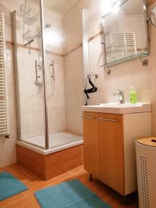 een badkamer met een douche en een wastafel bij Schöne Wohnung, Zwei Schlafzimmer, Zentrumsnah, Erdgeschoss in Greifswald in Greifswald