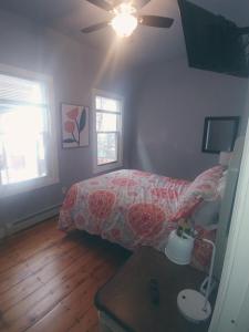 Gallery image of East Bayside/ Munjoy - Charming Downtown Escape in Portland