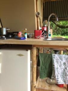 Kuchyň nebo kuchyňský kout v ubytování Glamping El Árbol en la Casa