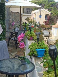 A garden outside Gardenia House