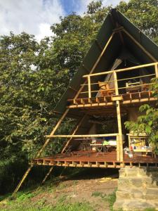 a tree house with a deck in the trees at Glamping El Árbol en la Casa in San Antonio del Tequendama