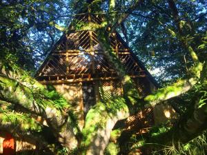 Fotografie z fotogalerie ubytování Glamping El Árbol en la Casa v destinaci San Antonio del Tequendama