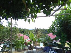 Vrt pred nastanitvijo Maison chaleureuse avec vue sur mer