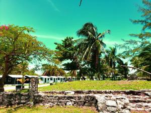 Zahrada ubytování ECO-CABAÑAS Cancún