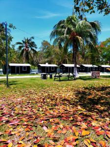 Zahrada ubytování ECO-CABAÑAS Cancún
