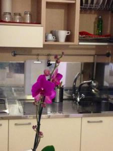 ボローニャにあるOlly Apartmentsのシンク付きキッチンの紫花