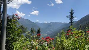 Jibhi şehrindeki Ishan Log Huts- A Boutique Homestay-since 1999 tesisine ait fotoğraf galerisinden bir görsel