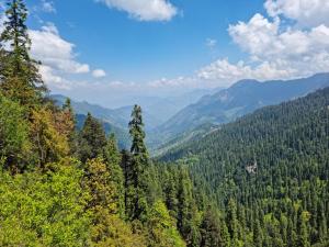 Jibhi şehrindeki Ishan Log Huts- A Boutique Homestay-since 1999 tesisine ait fotoğraf galerisinden bir görsel
