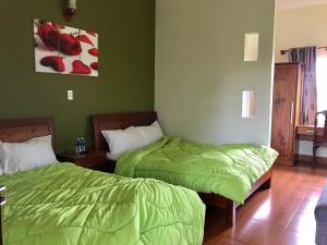 twee bedden in een kamer met groene muren bij ANH DUONg 1 HOTEL in Bao Loc