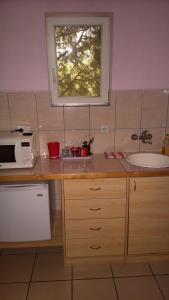 Kuchyň nebo kuchyňský kout v ubytování Sobe Rooms Szobák Zimmer KIS