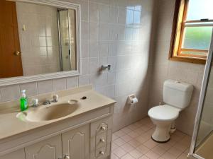 a bathroom with a sink and a toilet and a mirror at Carinya Cottage Hunter Valley - Nature retreat in Aberdare +18 photos