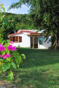 una pequeña casa blanca con un árbol y flores rosas en Maison d'une chambre avec jardin clos et wifi a Grand Bourg, en Grand-Bourg