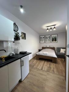 a kitchen and a bedroom with a bed in a room at Kameralne Studio w centrum Częstochowy in Częstochowa +8 photos