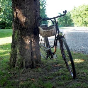 ein Fahrrad mit einem Korb, der gegen einen Baum lehnt in der Unterkunft Le clos des Noaillettes in Puybarban