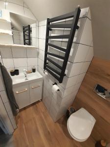a bathroom with a toilet and a sink and a window at Wypoczynek Pod Jelonkiem in Krościenko