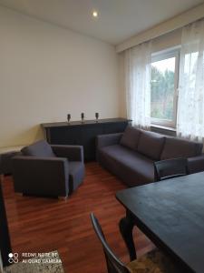 a living room with a couch and a table at Apartament Brzechwy in Poznań