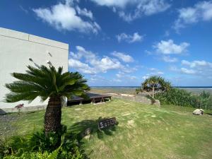 a palm tree and a bench next to the ocean at ゴールデンマイルヴィラ in Amami