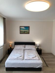 Ένα ή περισσότερα κρεβάτια σε δωμάτιο στο Oli Apartman