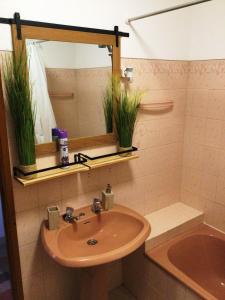 a bathroom with a sink and two potted plants at Art`Rio - Casa no Rio em Dornes in Dornes