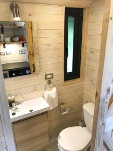 a small bathroom with a sink and a toilet at Cabañas Monte Verde in Pucón